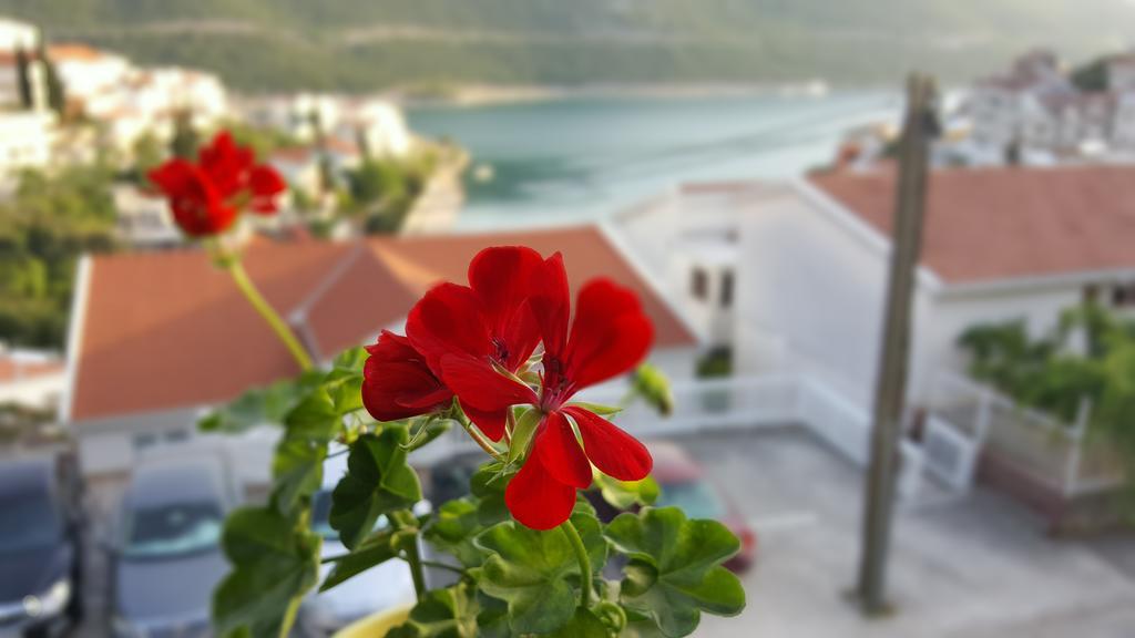 Villa Piccolotti Неум Екстериор снимка